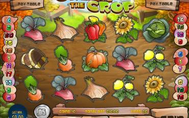 Cream of the Crop slot (Canada)