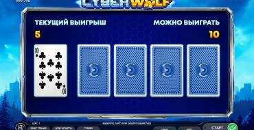 Cyber Wolf: Risk game