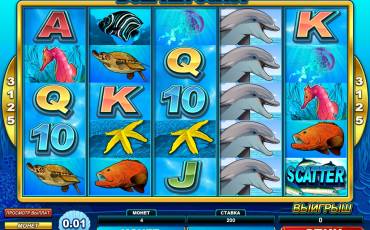 Dolphin Coast slot (Canada)