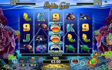 Dolphin Gold slot