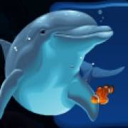 Dolphin Quest: symbol