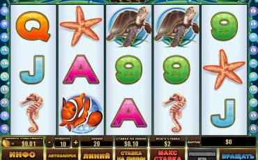 Dolphin Reef slot (Canada)