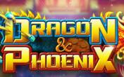 Dragon vs Phoenix (logo)