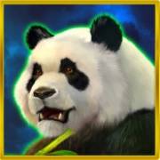 Dragons vs. Pandas: Panda