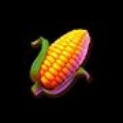 Corn symbol in Festa Junina slot