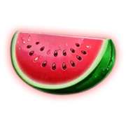 Watermelon symbol in Shining Royal 40 slot