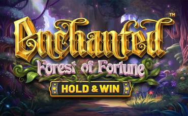 Enchanted: Forest of Fortune Hold&Win slot (Canada)