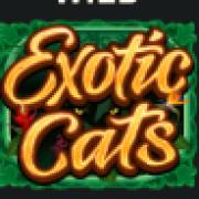 Exotic Cats: WILD