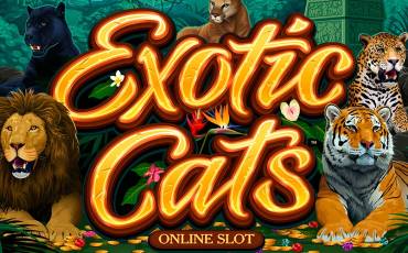 Exotic Cats slot