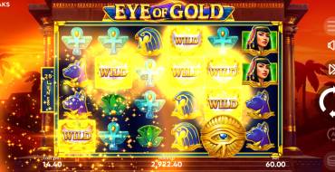 Eye of Gold: Interface