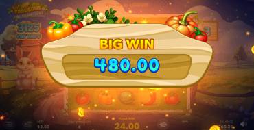 Fabulous Farm Slot: Winnings