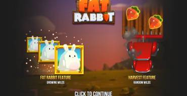 Fat Rabbit: 