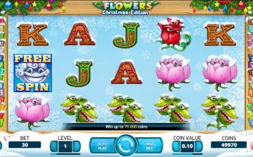 Flowers: Christmas Edition slot (Canada)