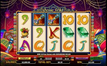 Genie Wild slot (Canada)