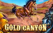 Gold Canyon slot online (logo)