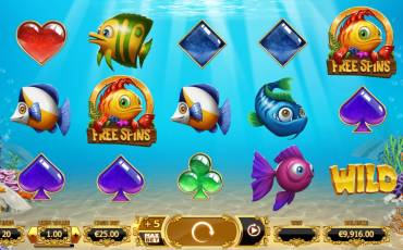 Golden Fish Tank slot (Canada)