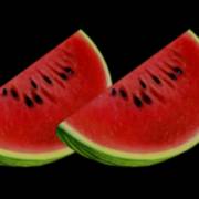 Great 27: Watermelon