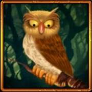 Great Book of Magic Deluxe: Owl