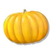 Green Grocery: Pumpkin