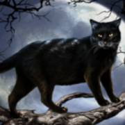 Halloween: Egypt Quest: Black cat