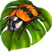 Into The Jungle Bonus Buy: Ladybug