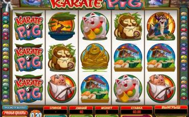 Karate Pig slot (Canada)