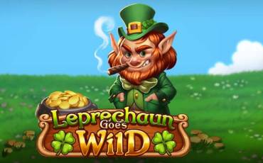 Leprechaun Goes Wild slot (Canada)