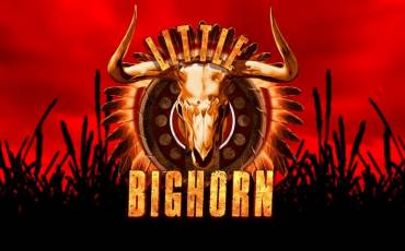 Little Bighorn slot (Canada)