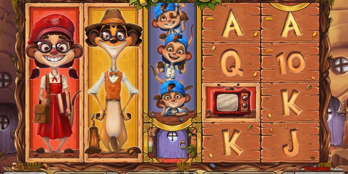 Meet the Meerkats slot (Canada)