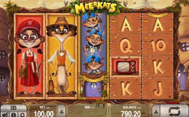 Meet the Meerkats slot (Canada)