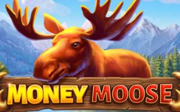 Money Moose slot (Canada)