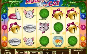 Mouse and Cat slot (Canada)