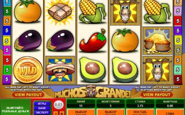 Muchos Grande slot (Canada)