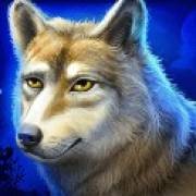 Mystic Chief: Wolf