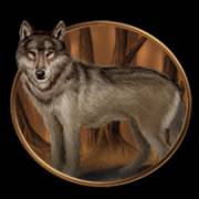 Night Wolves: Wolf