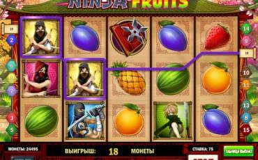 Ninja Fruits slot (Canada)