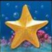 Ocean Tale: Starfish