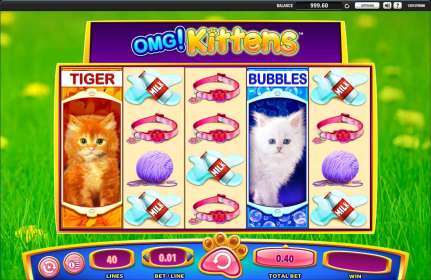 OMG! Kittens by WMS Gaming CA