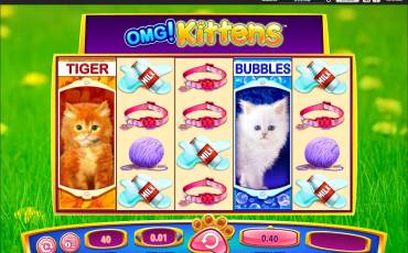 OMG! Kittens slot (Canada)