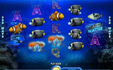 Pacific Paradise slot