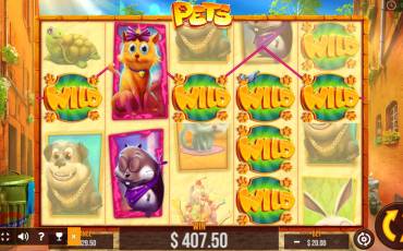 Pets slot (Canada)