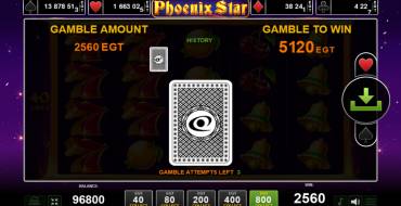 Phoenix Star: Risk game