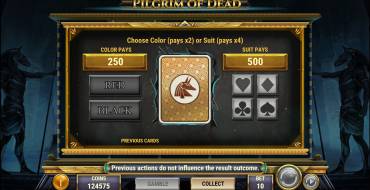 Pilgrim of Dead: Risk game