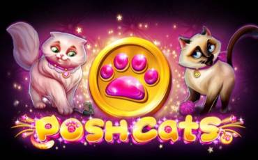 Posh Cats slot (Canada)