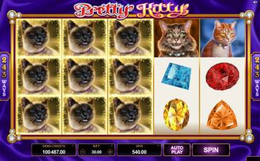 Pretty Kitty slot (Canada)