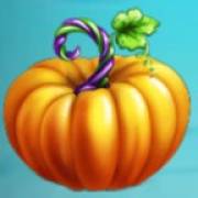 Pumpkin Patch: Pumpkin