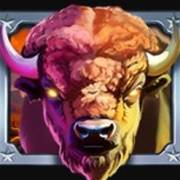 Raging Riches: Bison