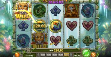 Rainforest Magic: Payoffs