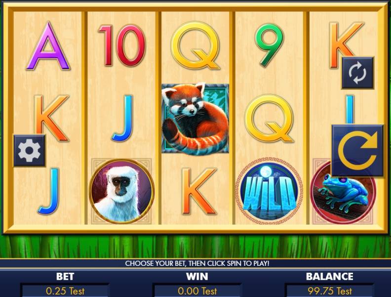 Red Panda Paradise slot