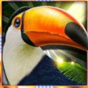 Reels Of Rio Party Time: Toucan